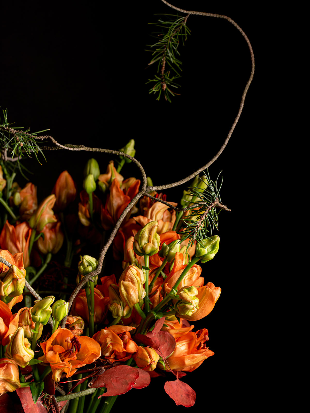 Lily-Tintoretto-bouquet-detail-by-Zbigniew-Dziwulski-on-Thursd
