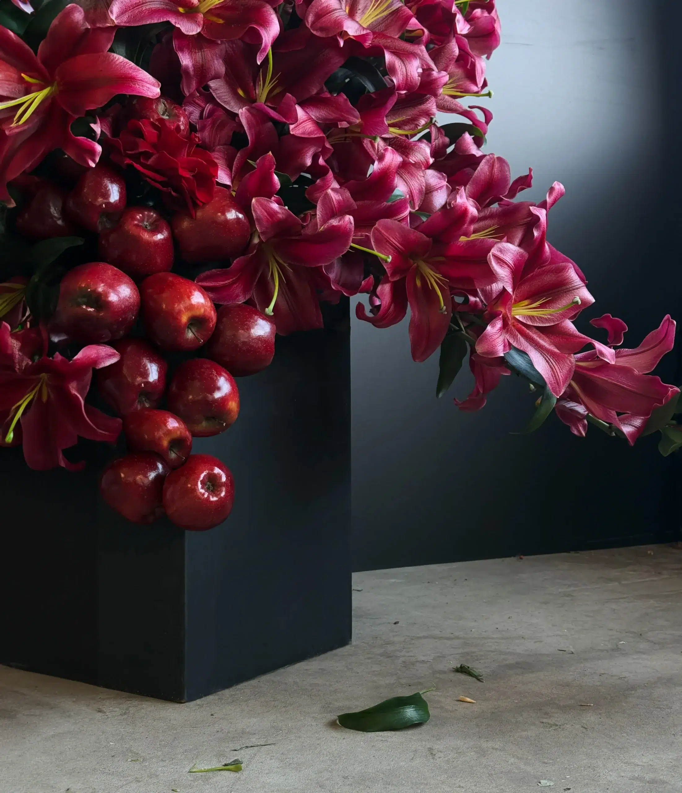 Sofi Sculpt Studio (2)