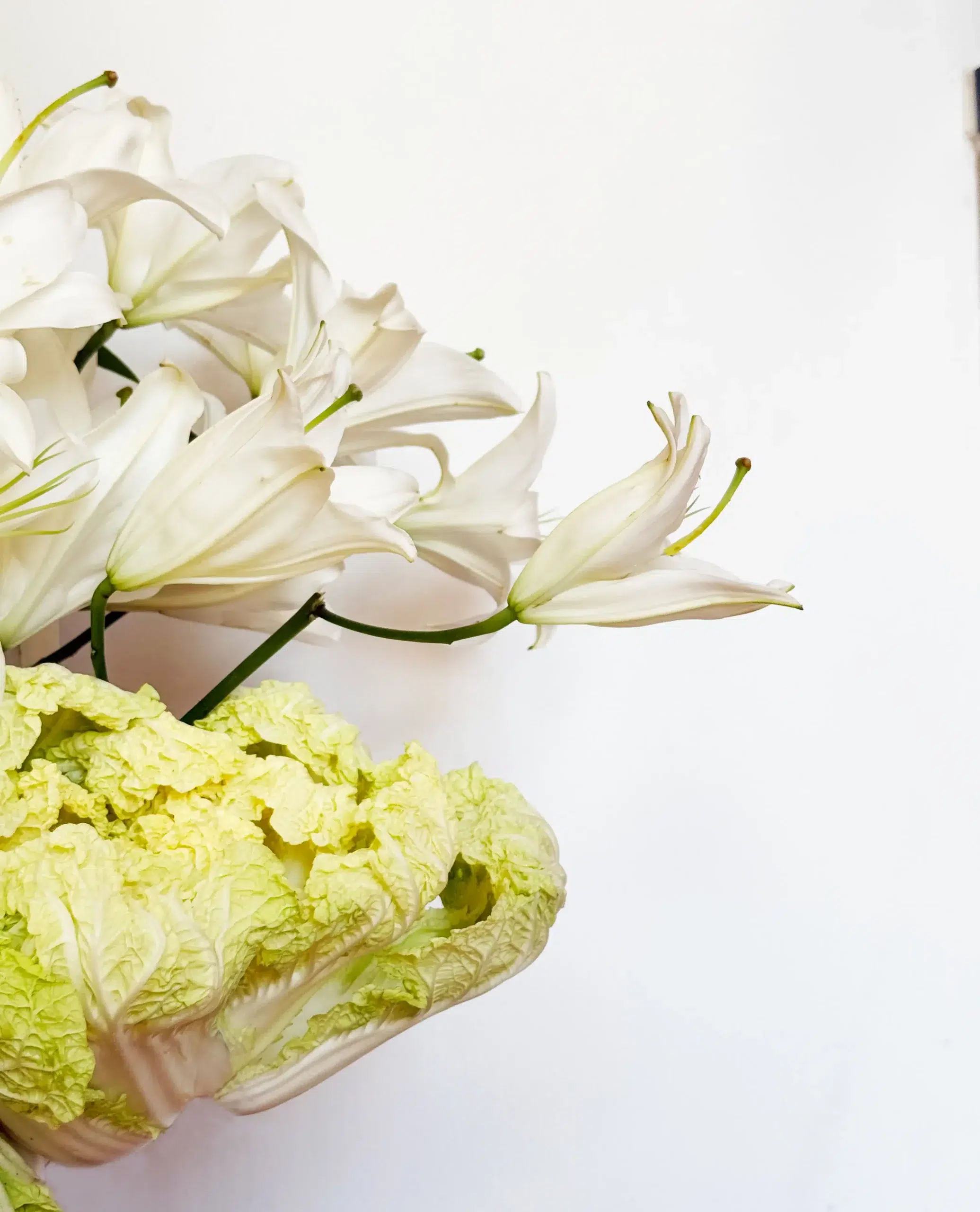 Sofi Sculpt Studio (6)