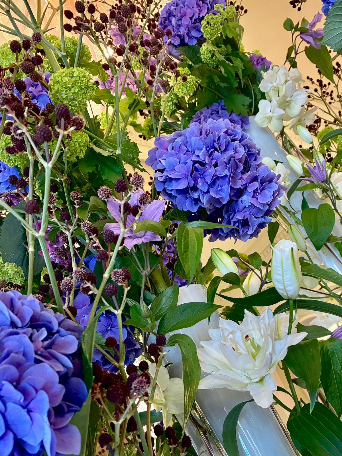 BFF Djordje Varda OKT-2025 (6)