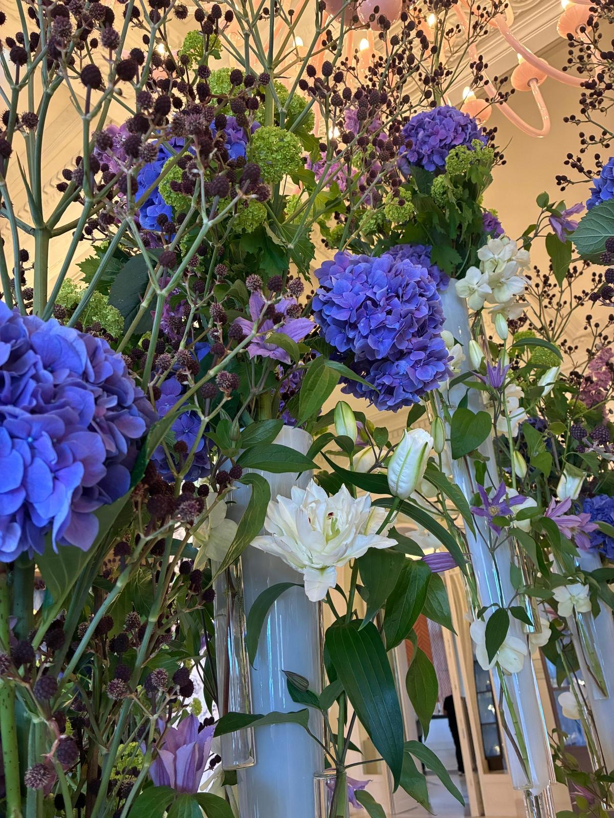 BFF Djordje Varda OKT-2025 (7)