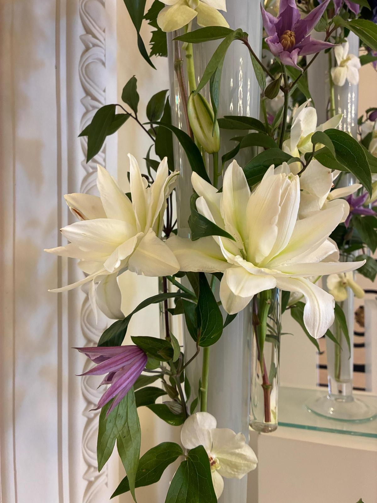 BFF Djordje Varda OKT-2025 (8)