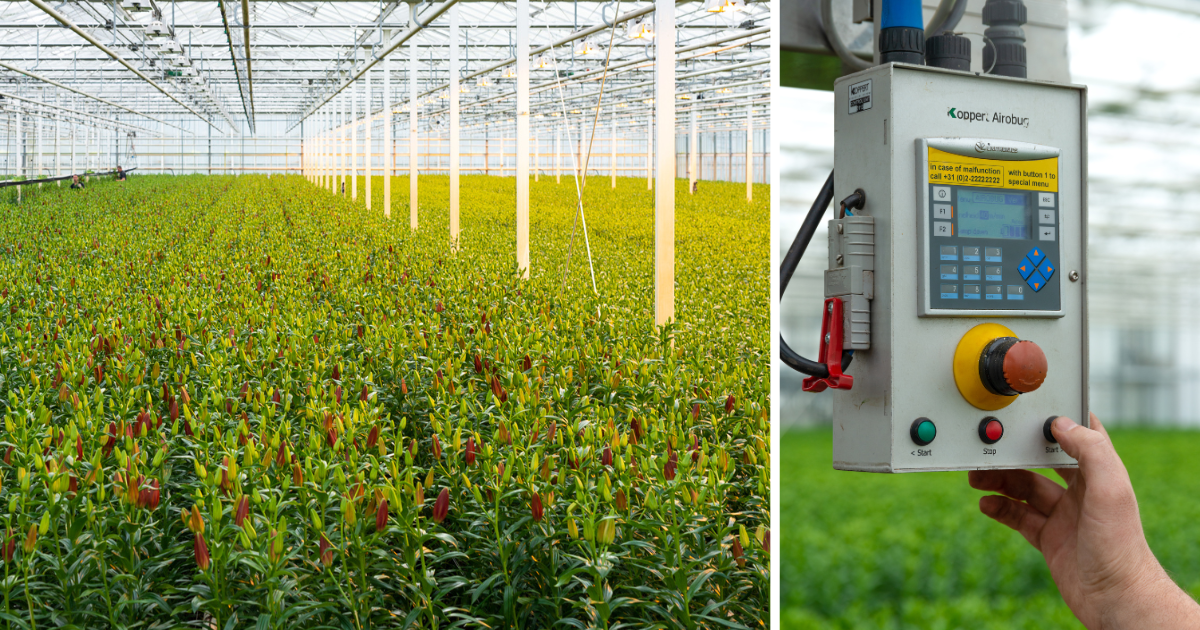 Header stories pagina BF