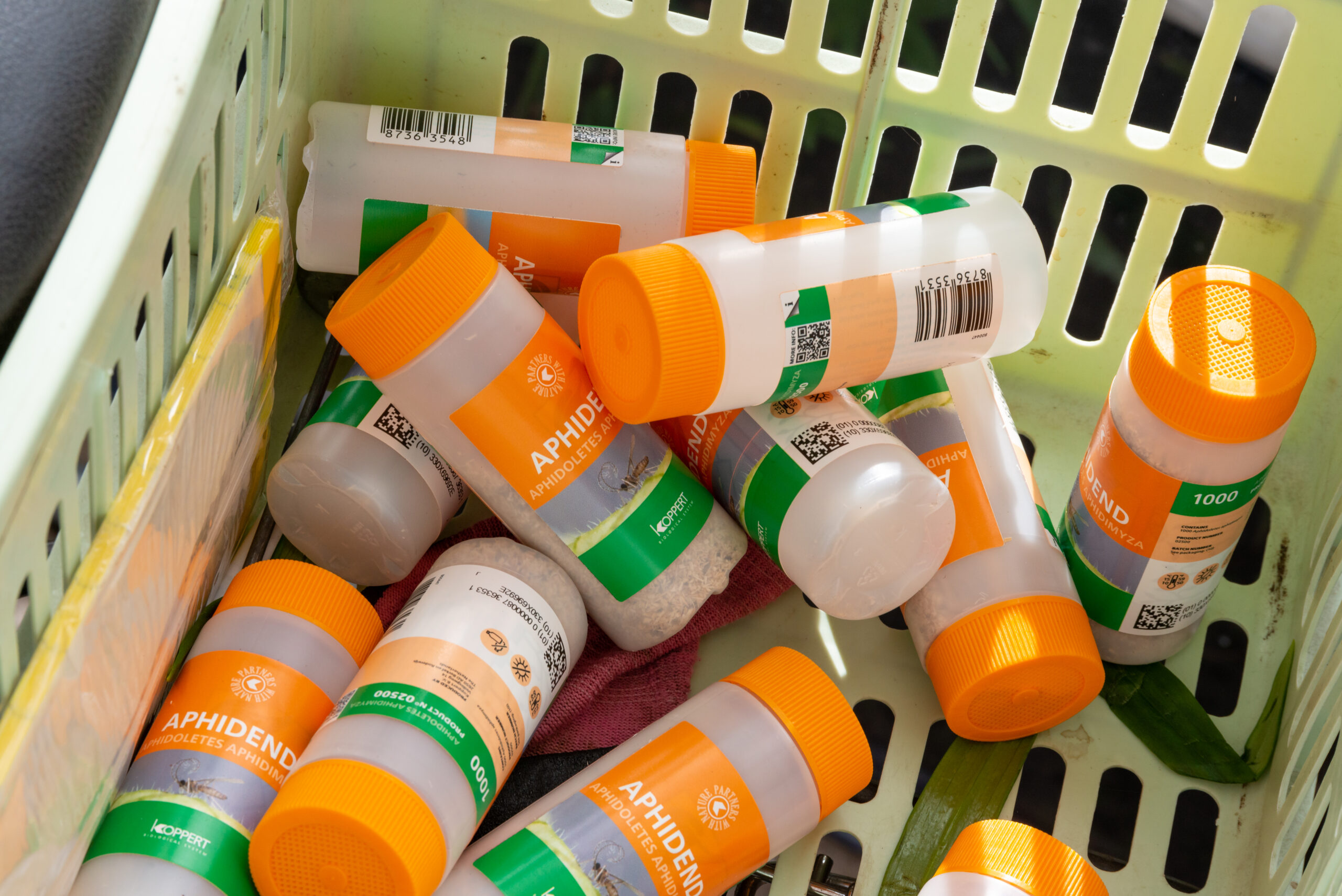 IAP Bredefleur september 2022-1329