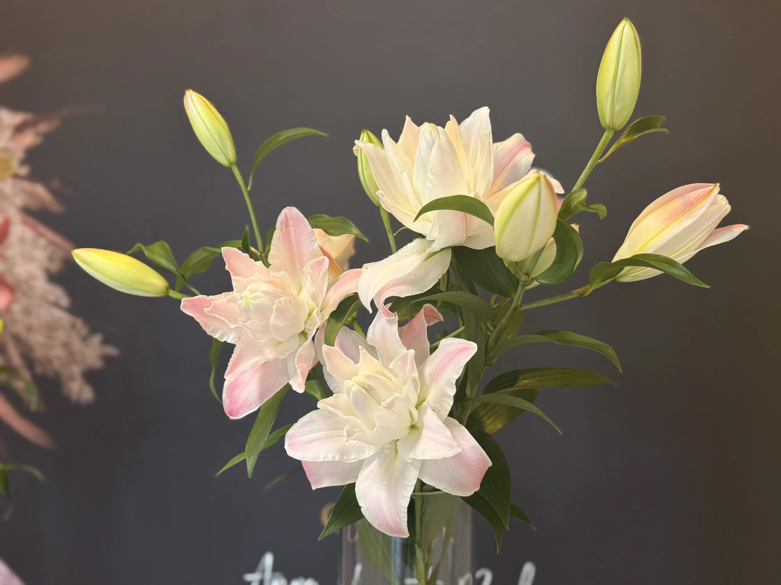 IMG_5454 - Double Diamond