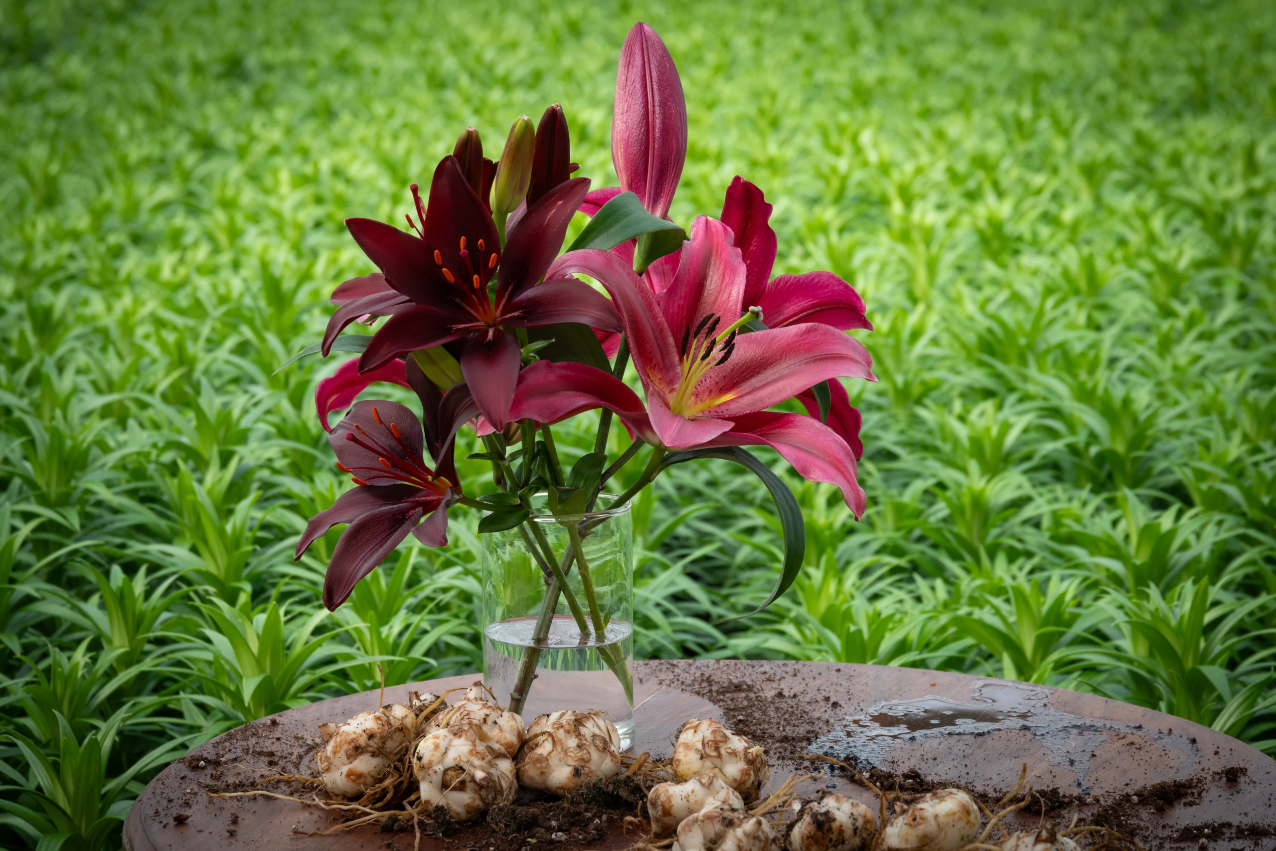 dark secret lasting love (2)